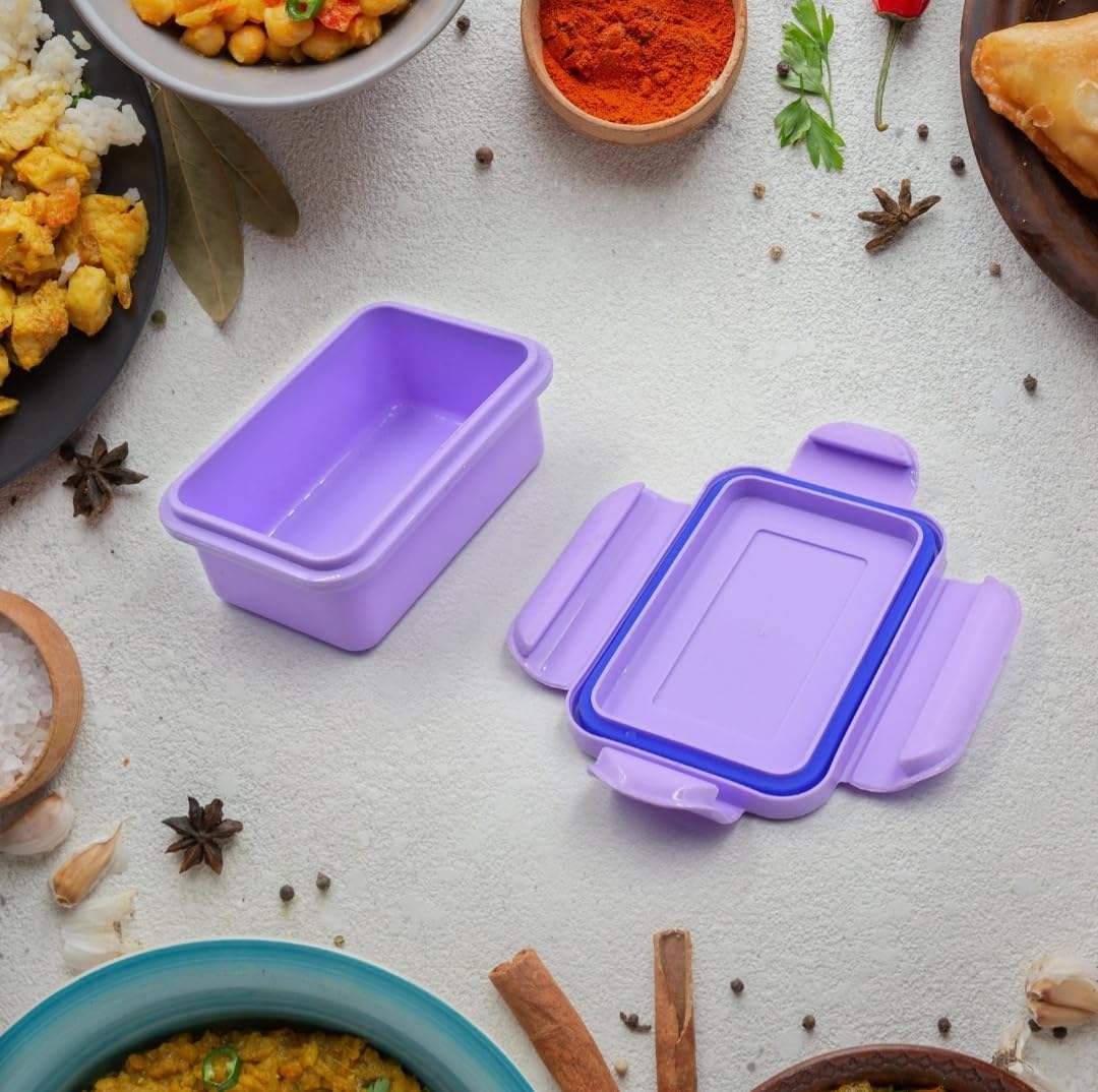 Stainless Steel 3 Compartment Lunch Box with Plastic Outer Body & Secure Lock